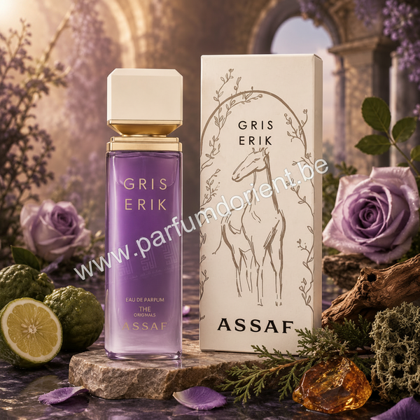Gris Erik Eau de Parfum 100ml by Assaf