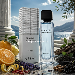 Frankel Imagination Eau de Parfum 100ml by Assaf