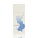 Ravine Ice – Eau de Parfum 100 ml