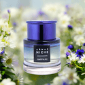 Niche Sapphire Eau de Parfum 90 ml